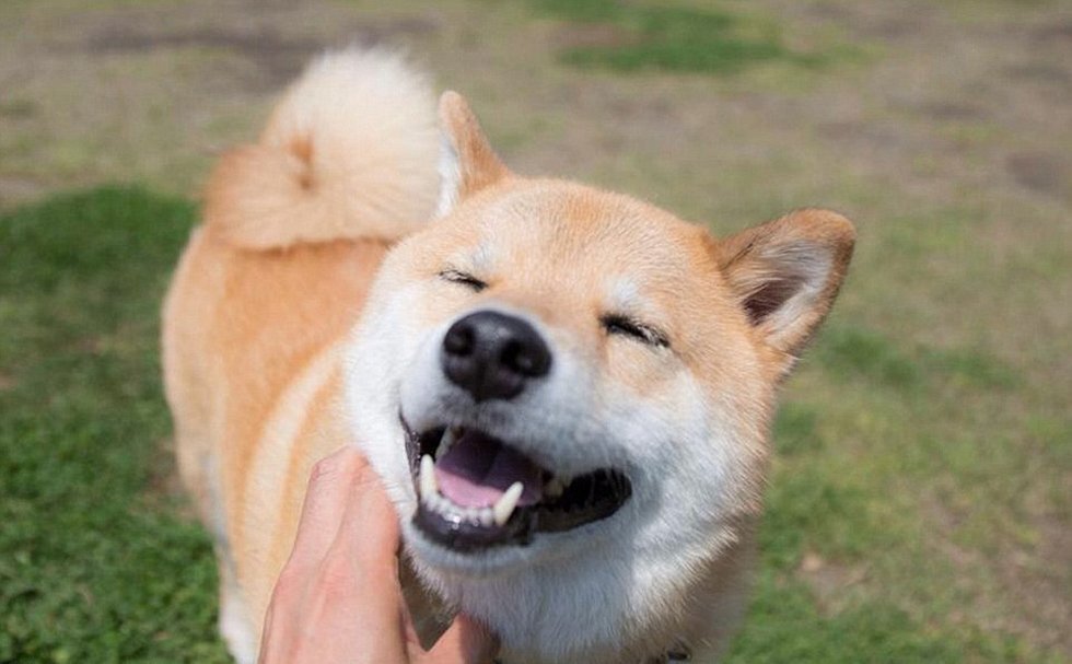 100